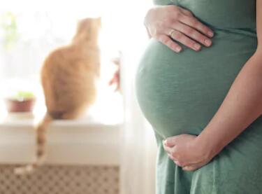 导致宫外孕的原因有哪些？容易造成宫外孕的几种情况